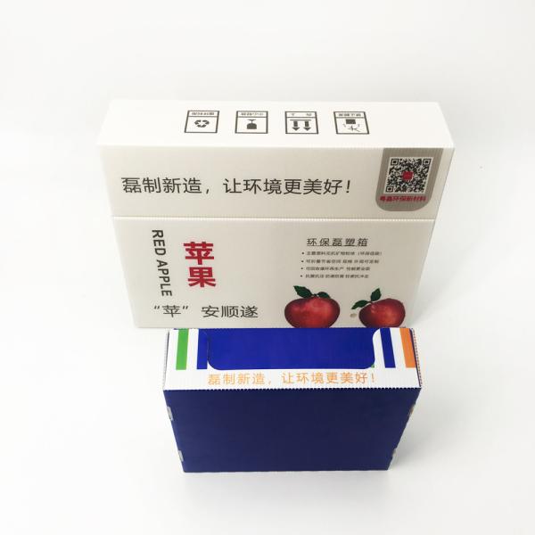 5mm Recyclable Corrugated Plastic Hollow Packaging Boxes Moisture Resistance Turnover Carton