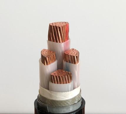 Nominal Section：3*25~3*400mm² CU/ Al Conductor LV Power Cable(Unamoured) XLPE Insulation (AL/CU/XLPE/LSZH/NYY/N2XY)