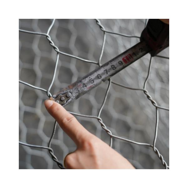 Hot Dipped Galvanized PVC Coated Gabion Wire Mesh for Environmental Protection