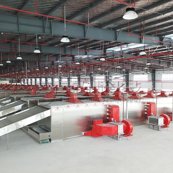 Устойчивое качество горячего перца чили Сушильное решение Автоматизированная машина для сушки пряностей чили