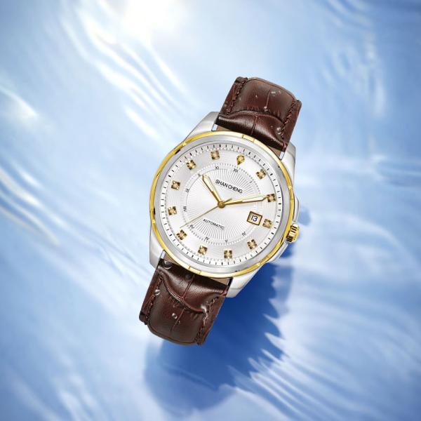 Людей нержавеющей стали винта автоматической даты дозоры PT5000 полных механические