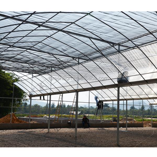 IGreen Industrial Greenhouse Irrigation System Greenhouse For Snail Farming