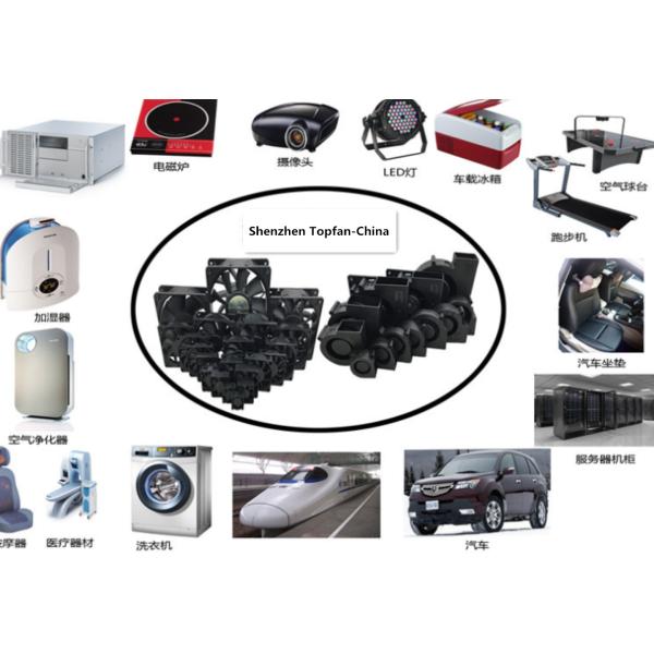 50 x 20 mm 5V 12V 24V DC Blower Fan , Small Car Fan With Plastic Frame and Impeller