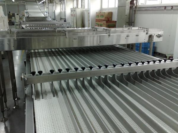                  Vegetable or Food Processing Factory Belt Conveyor Hoist Stainless Steel Belt Deliver             