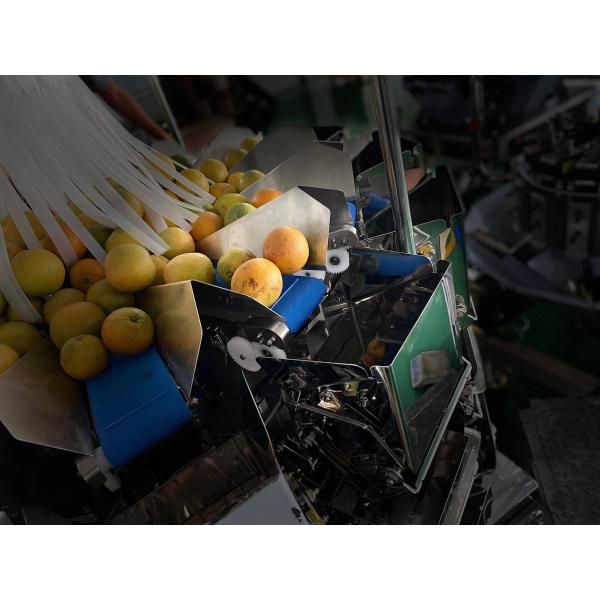 Машина упаковки 5000g Weigher Multihead ленты транспортера PVC для липкого блока рыб