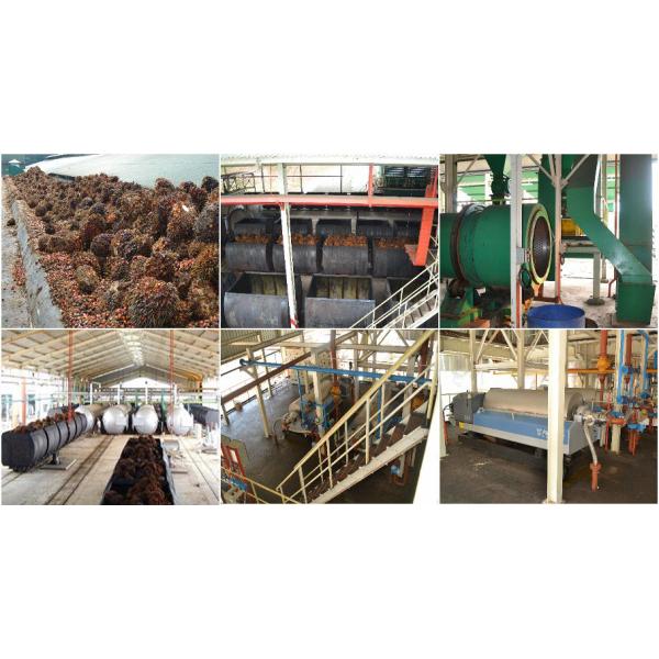 Small Palm Fruit Oil Expeller 300-500kg/hour Palm Oil Press for Oil Extraction