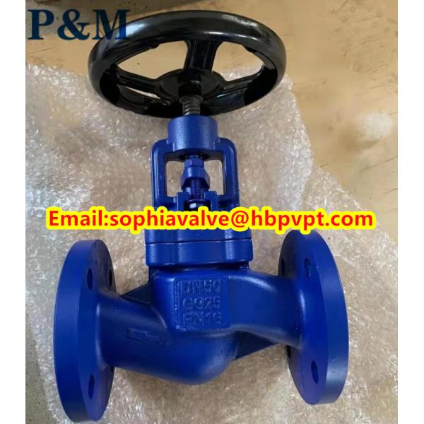 DIN GG25 PN16 cast iron globe valve made in China