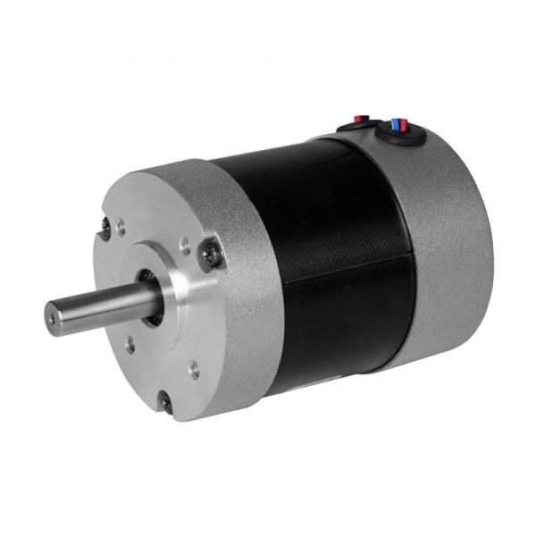 Faradyi Customized High Performance Brushed Motor Auto Gate 100w 200w 500w 2kw 6000 Rmp Electric Vehicle Brushless Bldc Motor