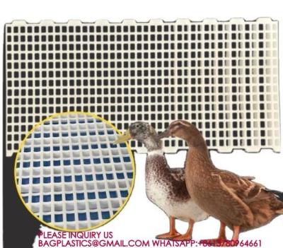 Plastic Poultry Floors 500*1200mm Chicken duck Floor poultry animal husbandry equipment