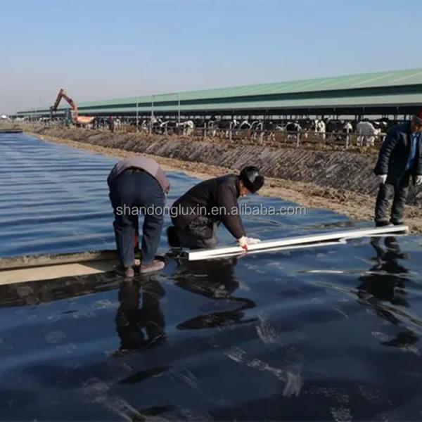 Polypropylene Liner HDPE Geomembrane for Fish Shrimp Farm Pond Waterproof Plastic