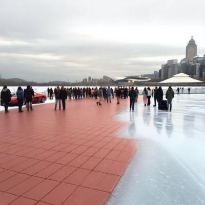 Modern Ice Rink Insulated Protection Floor 60x30x2.8cm Anti Slip Hockey Protection Flooring
