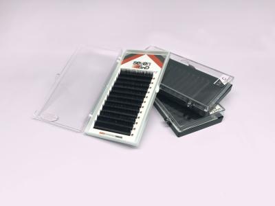 Light Mink Russian Volume Lashes , Steady Curl Russian Set Eyelash Extensions