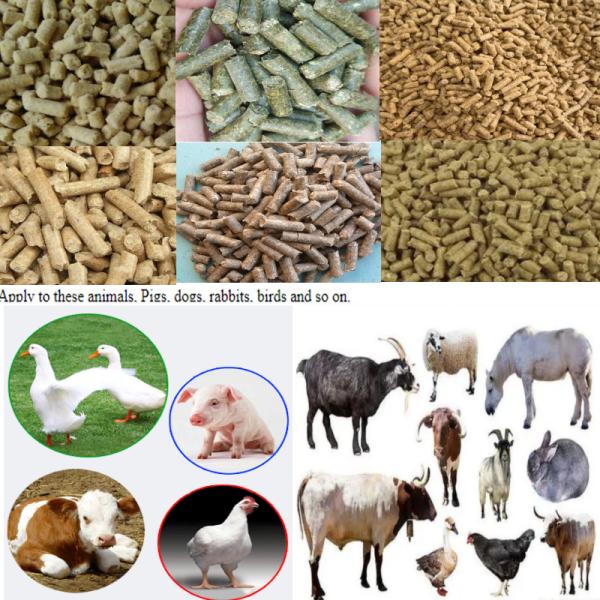 200-300кг/ч Пелетная мельница для кормов для птиц Домашнее оборудование 7,5 кВт 380В