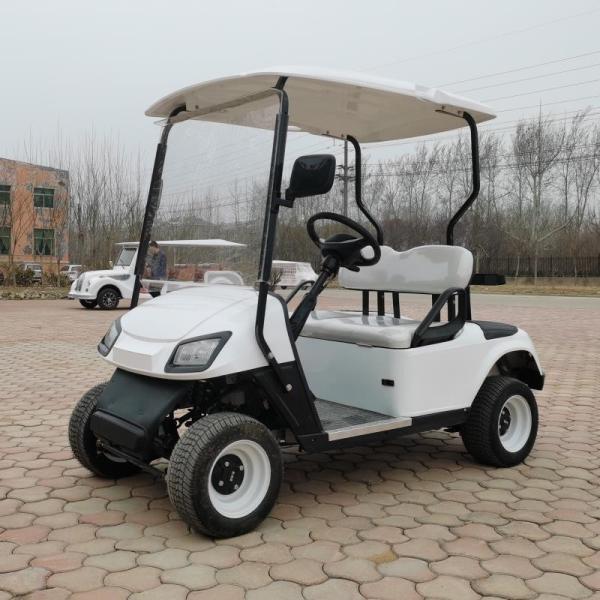 China manufacture  supply electric golf cart cheap price beautiful design golf trolley electric with 2 seats