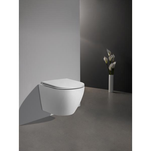 Hot Selling Rimless Washdown New Trend P Trap Wall Hung Toilet
