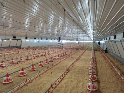 Hot Dip Galvanized Metal Steel Broiler Layer Poultry House With Automatic Brooding Equipment