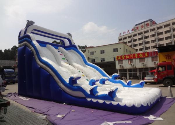 Outdoor Double Dolphin Inflatable Backyard Water Slide With 9L X 4W X6H