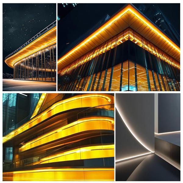 Outdoor Flexible COB Neon Light DC12V DC24V SMD 2835 10mm RGB LED Strip 120leds/M