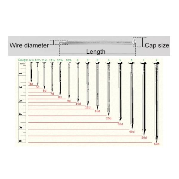 Flat Head Galvanized Common Iron Wire Nails Hardened Steel Concrete Nails