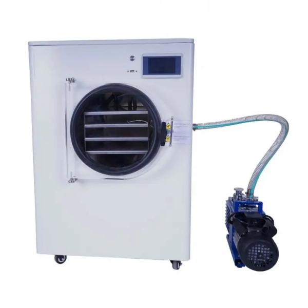 Brand New Machine Home Use Freeze Dryer With High Quality