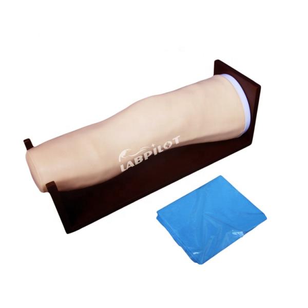 Advanced PVC Knee Model for Intra-articular Injections and Joint Aspiration Training