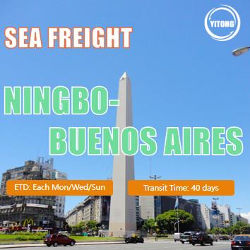 DDP DDU International Sea Freight Logistics From Ningbo To Buenos Aires Argentina