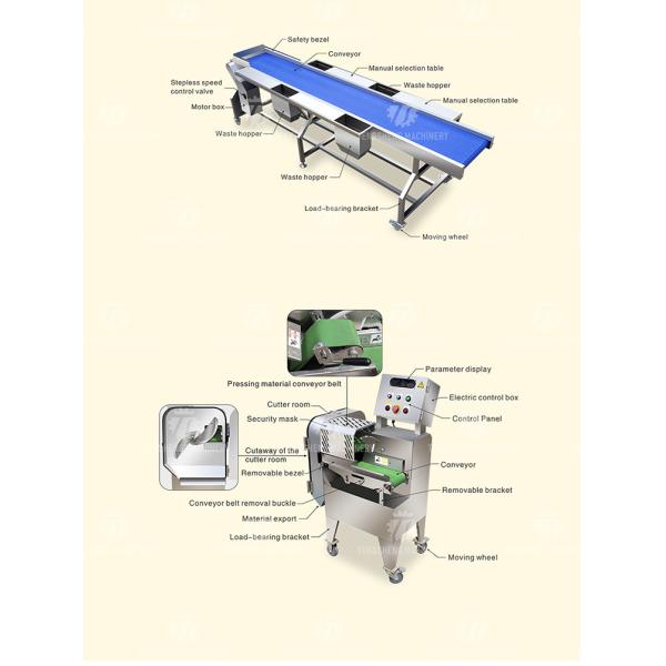 Vegetable Hair Roller Bubble Washing Selection Cutting Machine Production Line