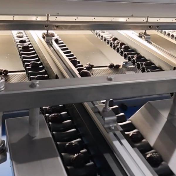 High-capacity Dates Sorting Machine, Advanced Computer Control, 304 Stainless Steel, 2.4 Tons per hour, High-performance