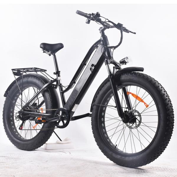 48V Fat Tire Electric Bike Hunting , 20 Mph E Bike For All Terrain