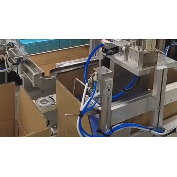 Automatic Mud Mask Case Packing Machine with Servo Collation and Cosmetic Packaging Automation System