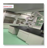 Entreposage Meubles de laboratoire de chimie Solutions personnalisables pour l'efficacité