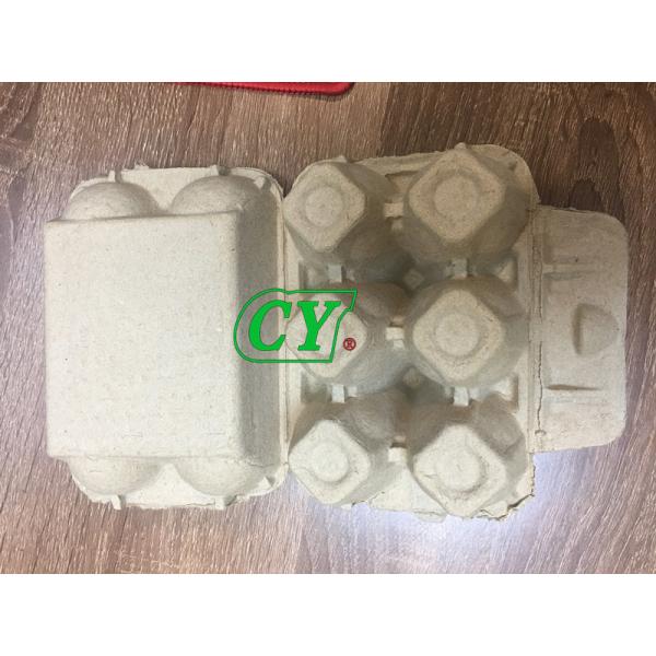 Eco Friendly Paper Molded Machine For Making Egg Carton Fruit Tray Coffee Cup Tray