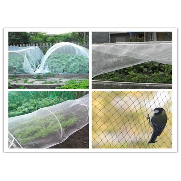 Garden Fly Screen Mesh Hdpe Plastic 20/30/40/50 Mesh Anti Insect Net