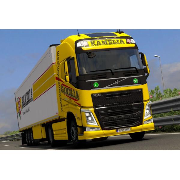 Тележка перевозки от Китая к Европе от Шэньчжэня к доставке Венгрии Болгарии