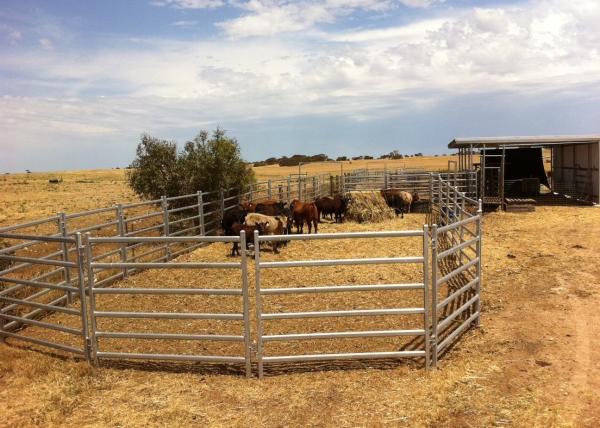 1.8m X 2.1m Oval Tube Heavy Duty Cattle Panel Portable