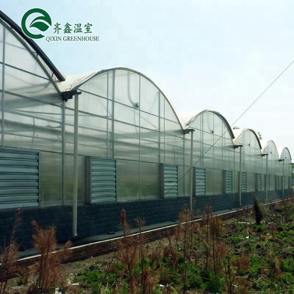 Multi-Span Agricultural Greenhouses with PO Film Redefining Indoor Hydroponic Systems