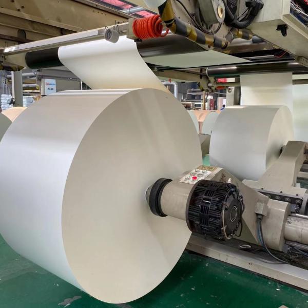 Papel da matéria prima 190+18gsm Cupstock do copo de chá do papel da largura 1000mm