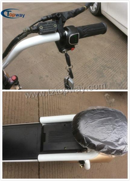 Popular Halley Electric Scooter 1000W 60V Fat Tyre Citycoco