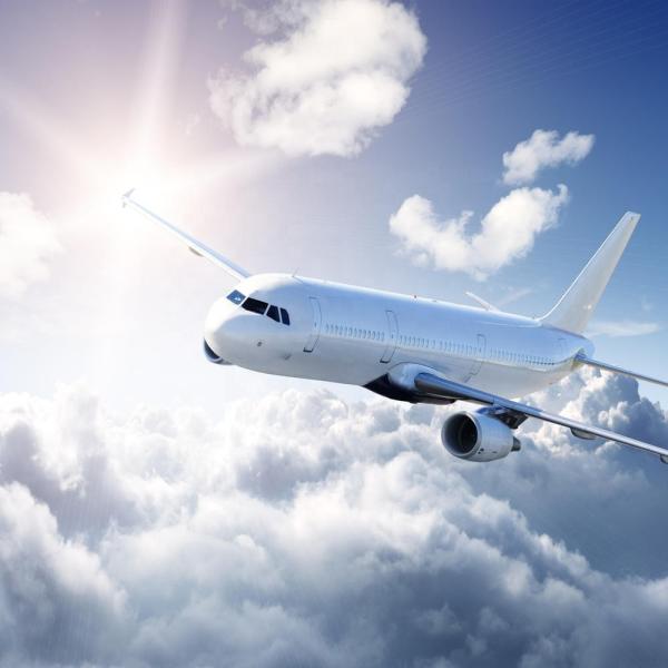 Door To Door Special Goods International Cargo Shipping Economy Freight Shipping