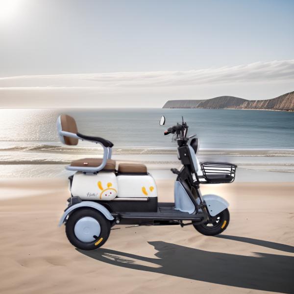 tricycle motorized cargo electric bicycle three wheel electric scooters bike electric tricycle for adults