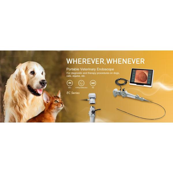 Интубации медицинского оборудования ODM Endoscope ветеринарной гибкой видео- для ветеринара