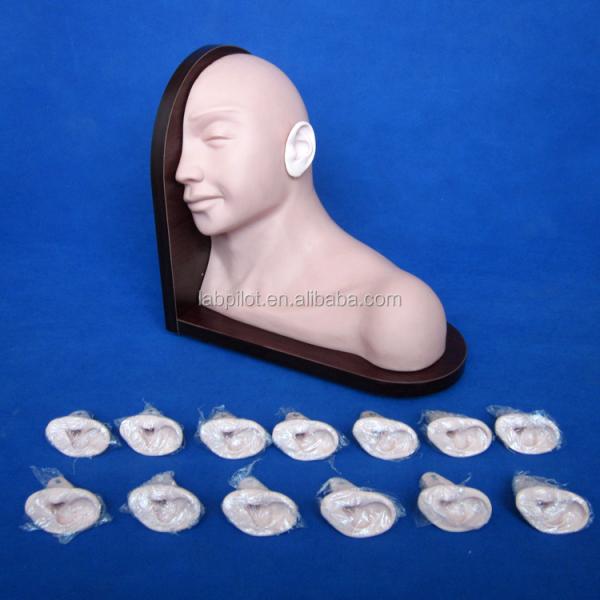 Medical Education Ear Examination Model Realistic Human Simulation with 14-pc Set