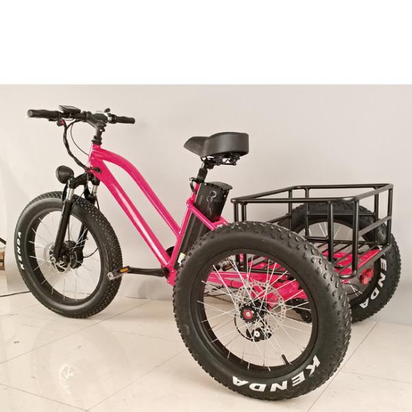 500W Cargo Adult 3 Wheel Electric Bicycle with Fat Aluminium Rim and EN71 Certificate