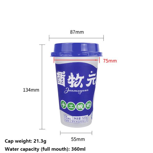 Plastic Cup with Leak-Proof Lid and Independent Straw Hole 0.08mm Thickness Ideal for Cold Drinks 320ml Capacity PS Material