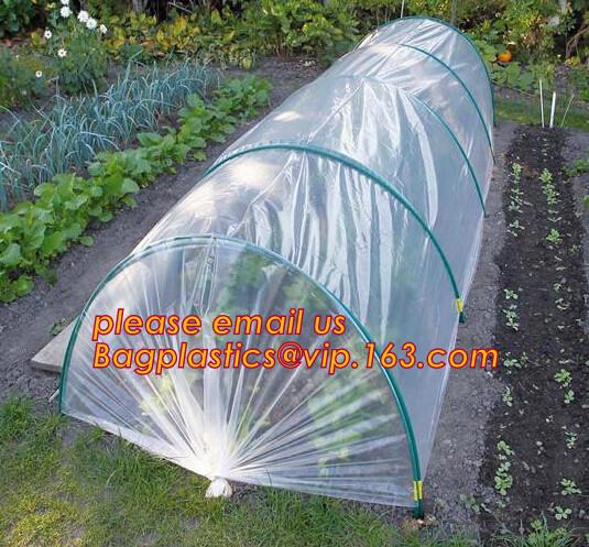 Greenhouse, Agricultural Polyethylene Film, Mulch Films, Horticultural Products, Perforated Wrap, Tomato, Flowers