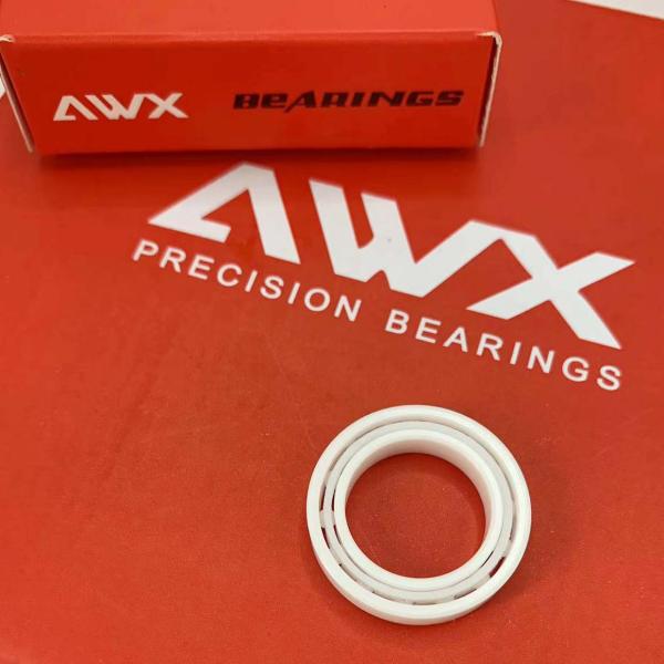 6300 61801 61901 16001 Precision Ceramic Radial Bearings Low Friction Ceramic Thrust Bearings