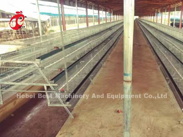 Большинств популярная цена клетки батареи в сельском хозяйстве птицы горячем гальванизированном Adela Нигерии