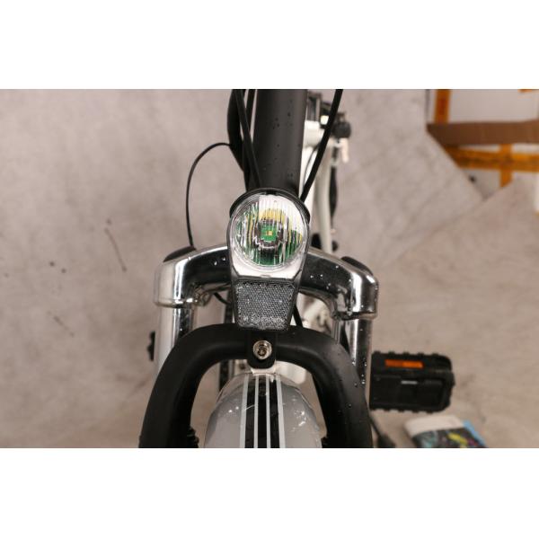 36V 250W Motorized Folding Bike TUV EN15194