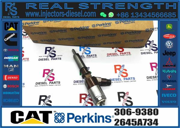Injetor de combustível diesel comum novo e barato para CAT C6.6 312D Peças de motor de escavadeira 306-9380 10R-7672 2645A734