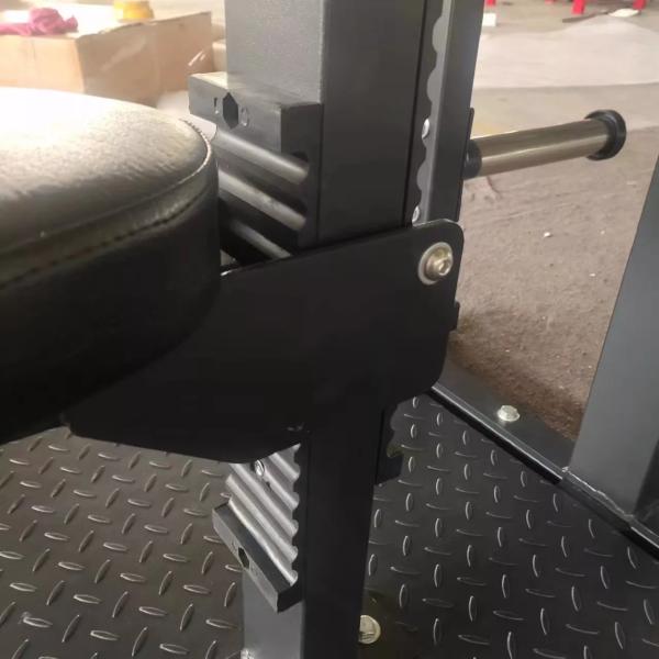 Roman Chair Outdoor Sports Equipments Loaded Pull Back Strength Training Equipment